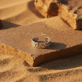 The Terra Ring